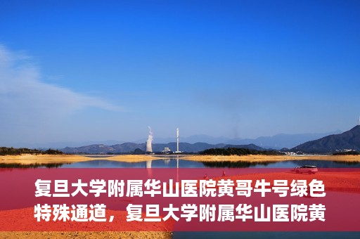 复旦大学附属华山医院黄哥牛号绿色特殊通道，复旦大学附属华山医院黄哥牛号，绿色特殊通道开启健康之门