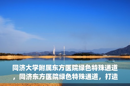 同济大学附属东方医院绿色特殊通道，同济东方医院绿色特殊通道，打造健康之路的新篇章