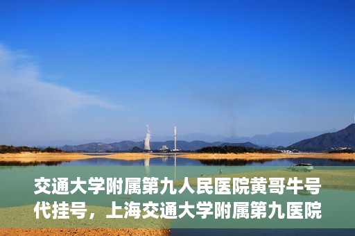 交通大学附属第九人民医院黄哥牛号代挂号，上海交通大学附属第九医院黄哥牛号代挂号攻略解析