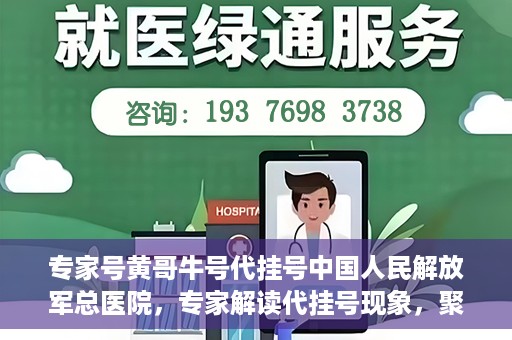 专家号黄哥牛号代挂号中国人民解放军总医院，专家解读代挂号现象，聚焦中国人民解放军总医院黄哥牛号事件