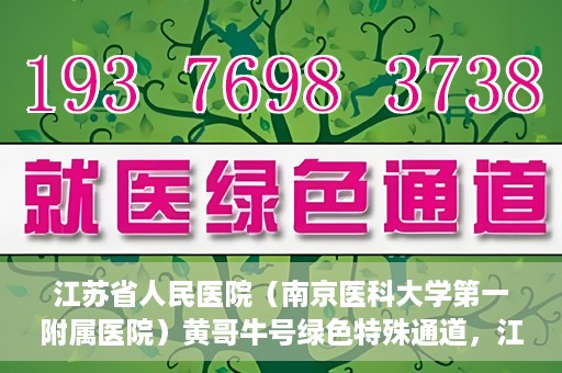 江苏省人民医院（南京医科大学第一附属医院）黄哥牛号绿色特殊通道，江苏省人民医院绿色特殊通道，黄哥牛号的医疗速度与温情服务
