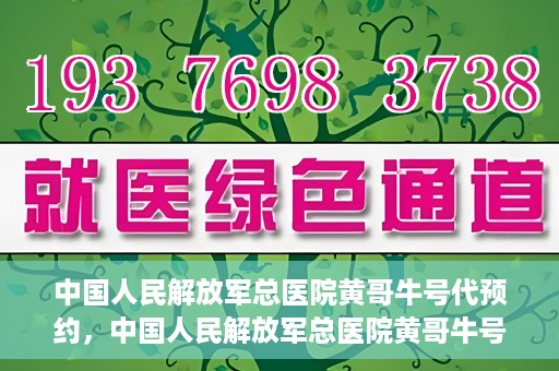 中国人民解放军总医院黄哥牛号代预约，中国人民解放军总医院黄哥牛号预约服务解析