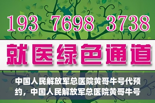 中国人民解放军总医院黄哥牛号代预约，中国人民解放军总医院黄哥牛号预约服务解析