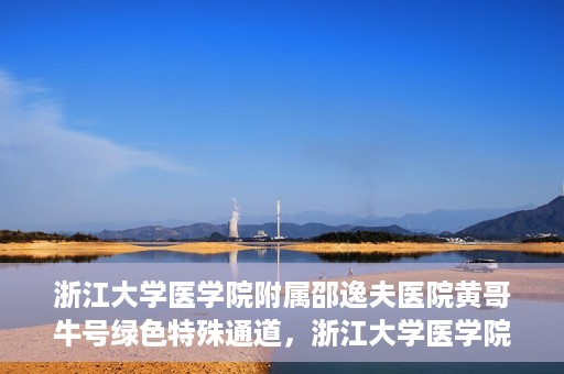 浙江大学医学院附属邵逸夫医院黄哥牛号绿色特殊通道，浙江大学医学院附属邵逸夫医院绿色特殊通道，黄哥牛号的传奇之路