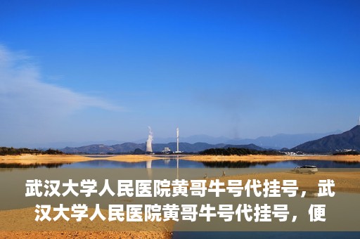 武汉大学人民医院黄哥牛号代挂号，武汉大学人民医院黄哥牛号代挂号，便捷就医背后的故事