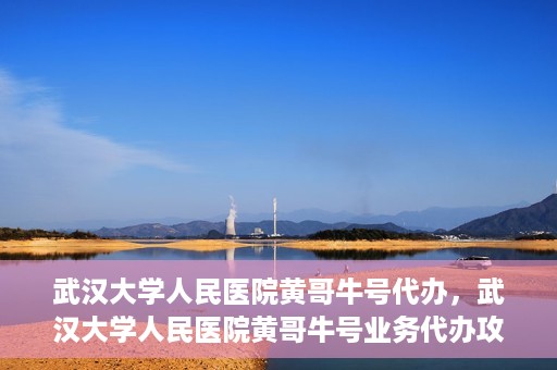 武汉大学人民医院黄哥牛号代办，武汉大学人民医院黄哥牛号业务代办攻略