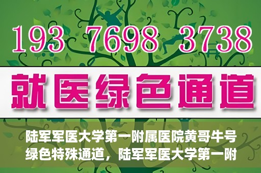 陆军军医大学第一附属医院黄哥牛号绿色特殊通道，陆军军医大学第一附属医院黄哥牛号，绿色特殊通道开启健康之门
