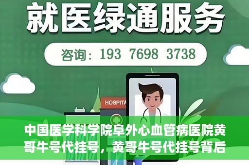 中国医学科学院阜外心血管病医院黄哥牛号代挂号，黄哥牛号代挂号背后的故事，阜外心血管病医院的探索与挑战