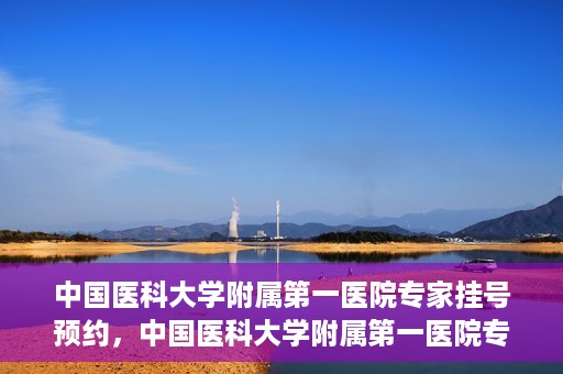 中国医科大学附属第一医院专家挂号预约，中国医科大学附属第一医院专家挂号预约攻略，一站式解决您的就医难题