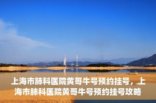 上海市肺科医院黄哥牛号预约挂号，上海市肺科医院黄哥牛号预约挂号攻略，轻松掌握挂号秘籍