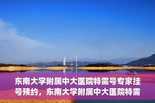 东南大学附属中大医院特需号专家挂号预约，东南大学附属中大医院特需号专家挂号预约攻略与指南
