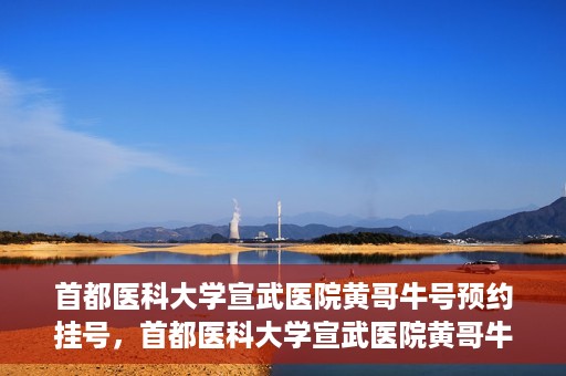 首都医科大学宣武医院黄哥牛号预约挂号，首都医科大学宣武医院黄哥牛号，预约挂号攻略