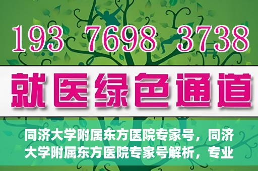 同济大学附属东方医院专家号，同济大学附属东方医院专家号解析，专业医疗服务的深度解读