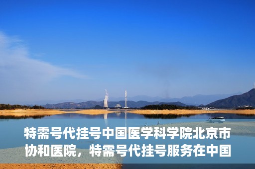 特需号代挂号中国医学科学院北京市协和医院，特需号代挂号服务在中国医学科学院北京市协和医院详解