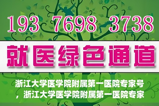 浙江大学医学院附属第一医院专家号，浙江大学医学院附属第一医院专家号解析，权威医疗团队与尖端诊疗技术共筑健康防线