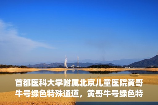 首都医科大学附属北京儿童医院黄哥牛号绿色特殊通道，黄哥牛号绿色特殊通道——北京儿童医院创新医疗服务的探索与实践