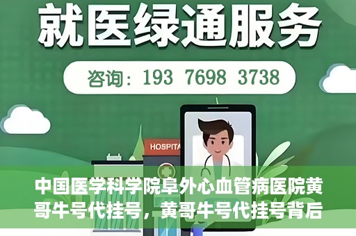 中国医学科学院阜外心血管病医院黄哥牛号代挂号，黄哥牛号代挂号背后的故事，阜外心血管病医院的探索与挑战