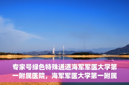 专家号绿色特殊通道海军军医大学第一附属医院，海军军医大学第一附属医院专家号绿色特殊通道揭秘