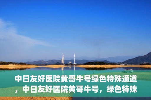 中日友好医院黄哥牛号绿色特殊通道，中日友好医院黄哥牛号，绿色特殊通道开启健康之门