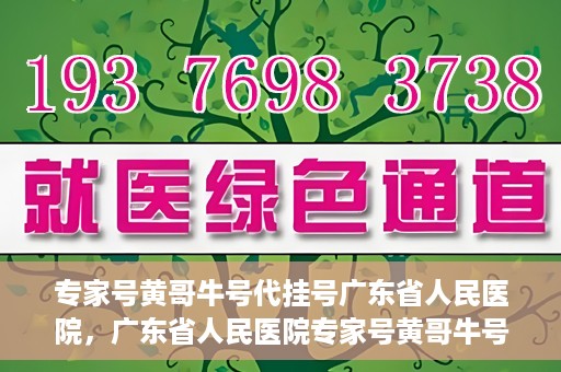 专家号黄哥牛号代挂号广东省人民医院，广东省人民医院专家号黄哥牛号代挂号服务解析