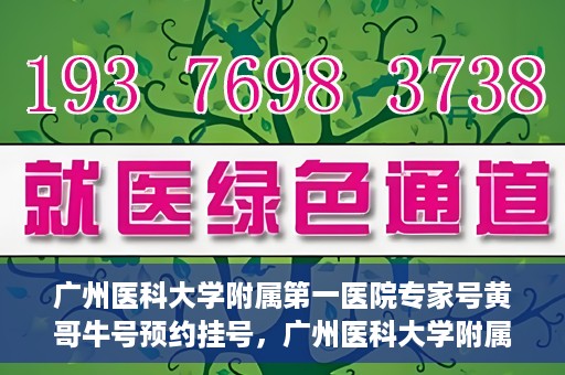 广州医科大学附属第一医院专家号黄哥牛号预约挂号，广州医科大学附属第一医院专家黄哥牛号预约攻略，轻松挂号，专业医疗体验