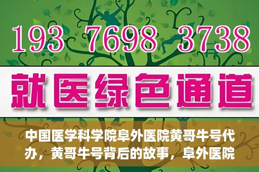 中国医学科学院阜外医院黄哥牛号代办，黄哥牛号背后的故事，阜外医院名医揭秘与医疗服务的深度解读
