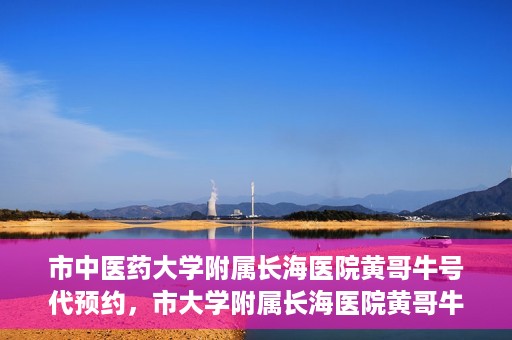 市中医药大学附属长海医院黄哥牛号代预约，市大学附属长海医院黄哥牛号预约服务启动