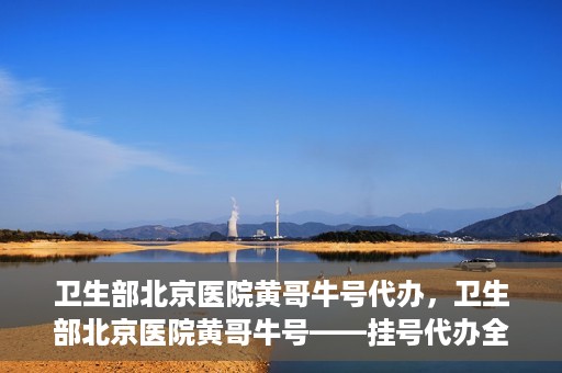 卫生部北京医院黄哥牛号代办，卫生部北京医院黄哥牛号——挂号代办全攻略