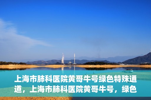上海市肺科医院黄哥牛号绿色特殊通道，上海市肺科医院黄哥牛号，绿色特殊通道开启健康之门