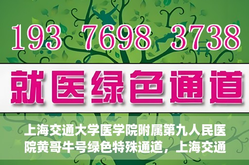 上海交通大学医学院附属第九人民医院黄哥牛号绿色特殊通道，上海交通大学医学院附属第九人民医院黄哥牛号，绿色特殊通道开启健康之门