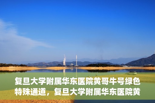 复旦大学附属华东医院黄哥牛号绿色特殊通道，复旦大学附属华东医院黄哥牛号，绿色特殊通道开启健康之门