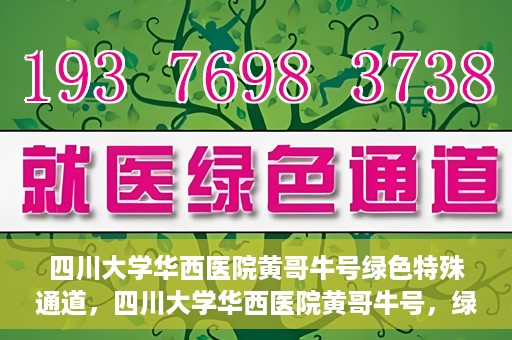 四川大学华西医院黄哥牛号绿色特殊通道，四川大学华西医院黄哥牛号，绿色特殊通道开启生命之门