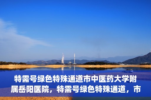 特需号绿色特殊通道市中医药大学附属岳阳医院，特需号绿色特殊通道，市中医药大学附属岳阳医院的医疗特色与优势