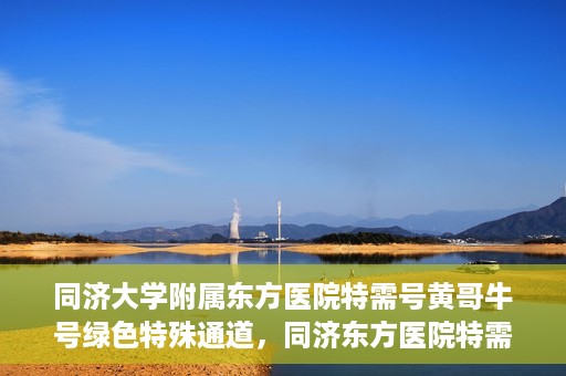 同济大学附属东方医院特需号黄哥牛号绿色特殊通道，同济东方医院特需号黄哥牛号，绿色特殊通道的独家解读