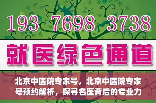 北京中医院专家号，北京中医院专家号预约解析，探寻名医背后的专业力量