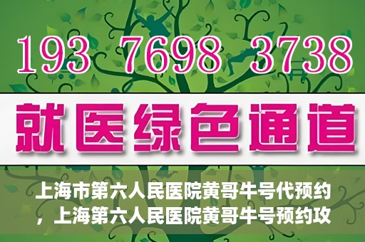 上海市第六人民医院黄哥牛号代预约，上海第六人民医院黄哥牛号预约攻略，轻松解决挂号难题