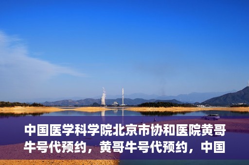中国医学科学院北京市协和医院黄哥牛号代预约，黄哥牛号代预约，中国医学科学院北京市协和医院挂号新途径探索