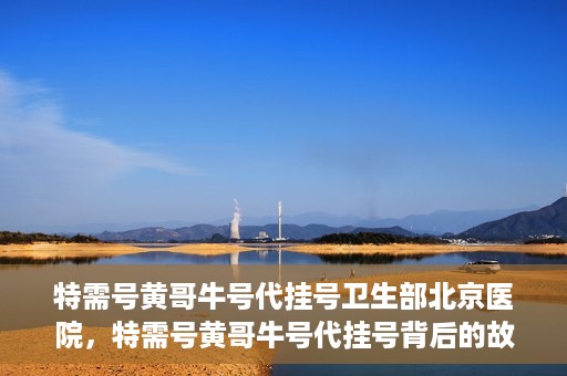 特需号黄哥牛号代挂号卫生部北京医院，特需号黄哥牛号代挂号背后的故事，北京医院卫生部深度解读