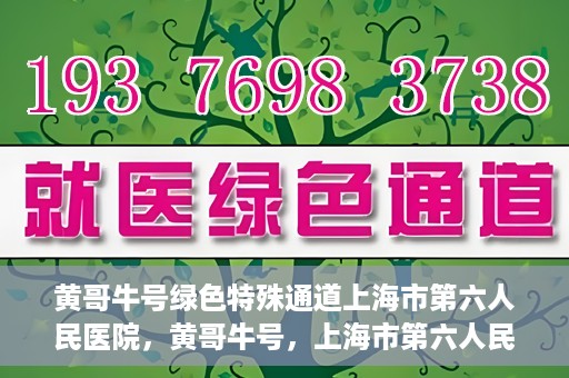 黄哥牛号绿色特殊通道上海市第六人民医院，黄哥牛号，上海市第六人民医院绿色特殊通道揭秘