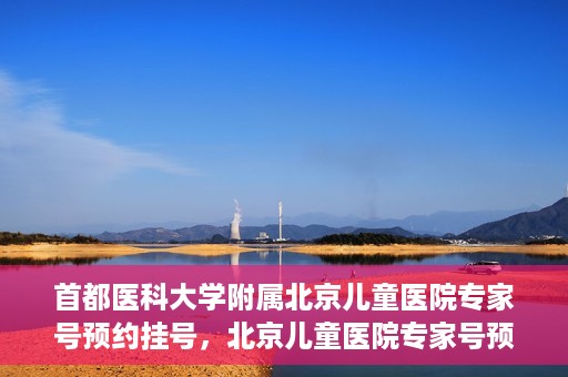 首都医科大学附属北京儿童医院专家号预约挂号，北京儿童医院专家号预约挂号攻略，专业医疗，一键预约