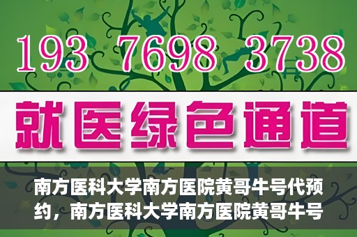 南方医科大学南方医院黄哥牛号代预约，南方医科大学南方医院黄哥牛号预约服务解析