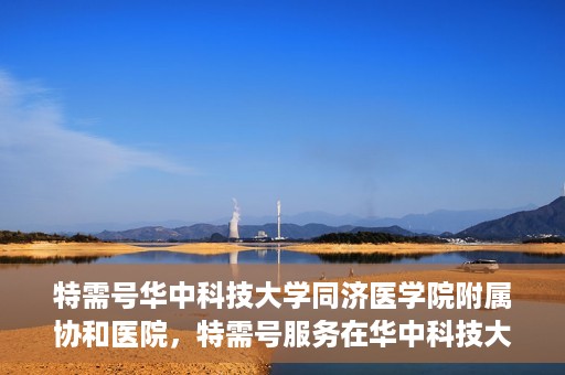 特需号华中科技大学同济医学院附属协和医院，特需号服务在华中科技大学同济医学院附属协和医院，一站式健康体验与医疗关怀新篇章