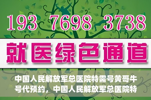 中国人民解放军总医院特需号黄哥牛号代预约，中国人民解放军总医院特需号专家预约服务解析，黄哥牛号预约详解
