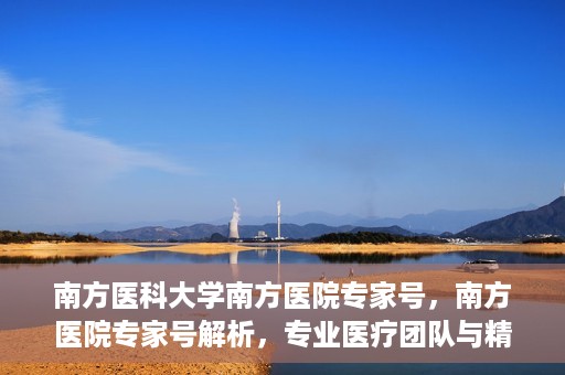南方医科大学南方医院专家号，南方医院专家号解析，专业医疗团队与精准诊疗服务