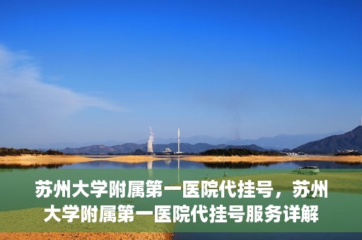 苏州大学附属第一医院代挂号，苏州大学附属第一医院代挂号服务详解