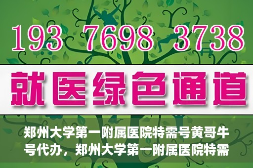 郑州大学第一附属医院特需号黄哥牛号代办，郑州大学第一附属医院特需号名医黄哥牛号预约代办服务解析