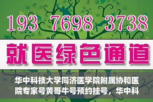 华中科技大学同济医学院附属协和医院专家号黄哥牛号预约挂号，华中科技大学同济医学院附属协和医院专家号黄哥牛号预约挂号攻略