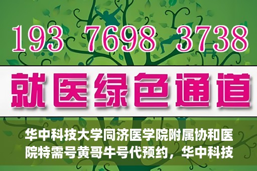 华中科技大学同济医学院附属协和医院特需号黄哥牛号代预约，华中科技大学同济医学院附属协和医院特需号预约服务解析，黄哥牛号预约详解