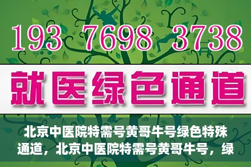 北京中医院特需号黄哥牛号绿色特殊通道，北京中医院特需号黄哥牛号，绿色就医通道揭秘