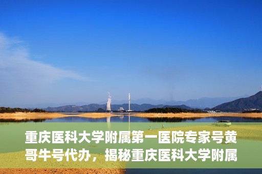重庆医科大学附属第一医院专家号黄哥牛号代办，揭秘重庆医科大学附属第一医院专家号代办背后的故事，黄哥牛号助您轻松预约专家
